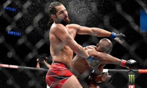 桑枝药用-桑枝有副作用吗网-分享桑枝有副作用吗能吃吗，桑枝有副作用吗?知识库